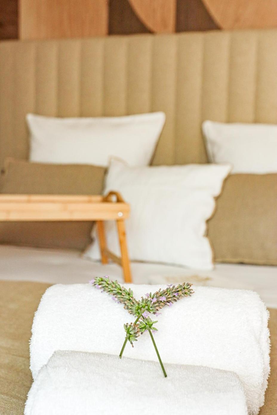 Les Gites De Laure - L'Eden Romantique, Chambres Hotes, Spa Prive, Couloir De Nage, Adults Only Malves-en-Minervois Extérieur photo