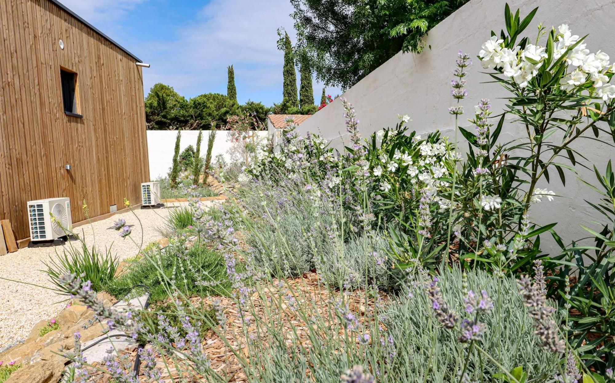 Les Gites De Laure - L'Eden Romantique, Chambres Hotes, Spa Prive, Couloir De Nage, Adults Only Malves-en-Minervois Extérieur photo
